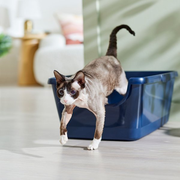 Pishie Catpads 40-Count Cat Litter Box Pads With Baking Powder – Free Sample