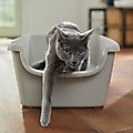 Frisco High Sided Cat Litter Box, Gray, Extra Large 24-in