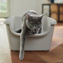 Frisco High Sided Cat Litter Box, Extra Large, Gray, 24-in