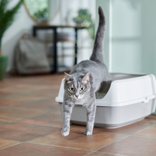 Frisco Open Top Cat Litter Box With Rim Large