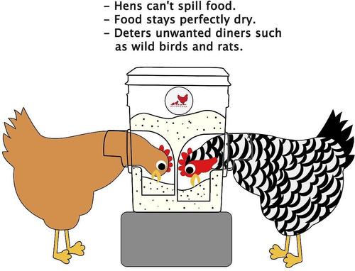 Show full view: RentACoop Corner Chicken Feeder with Anti-Roost Cone, 20-lb slide 2 of 6