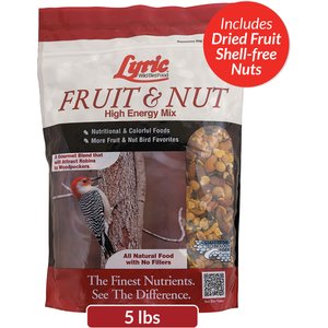 lyric fruit and nut bird food