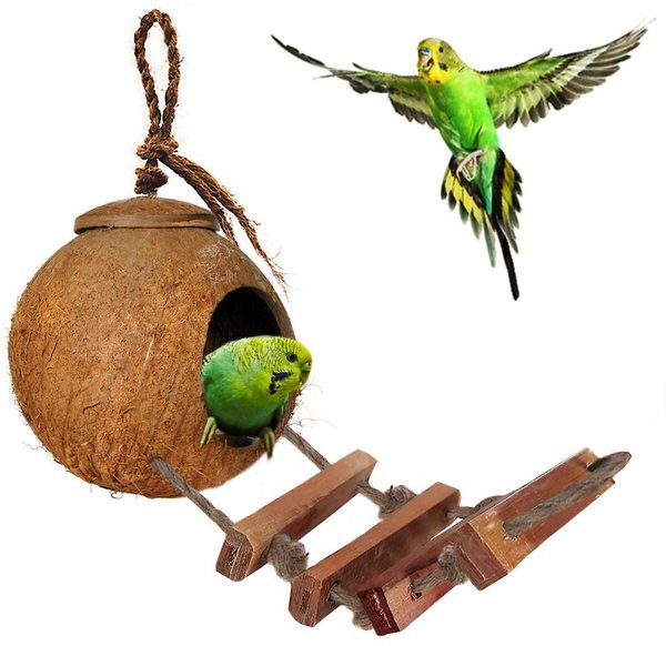 SunGrow Coconut Shell Nest & Window Feeder with Ladder Perch Cage Accessory & Hanging Parakeet, Finch & Budgie Bird House slide 1 of 5
