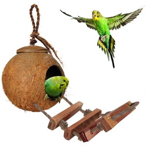 SunGrow Coconut Shell Nest & Window Feeder with Ladder Perch Cage Accessory & Hanging Parakeet, Finch & Budgie Bird House