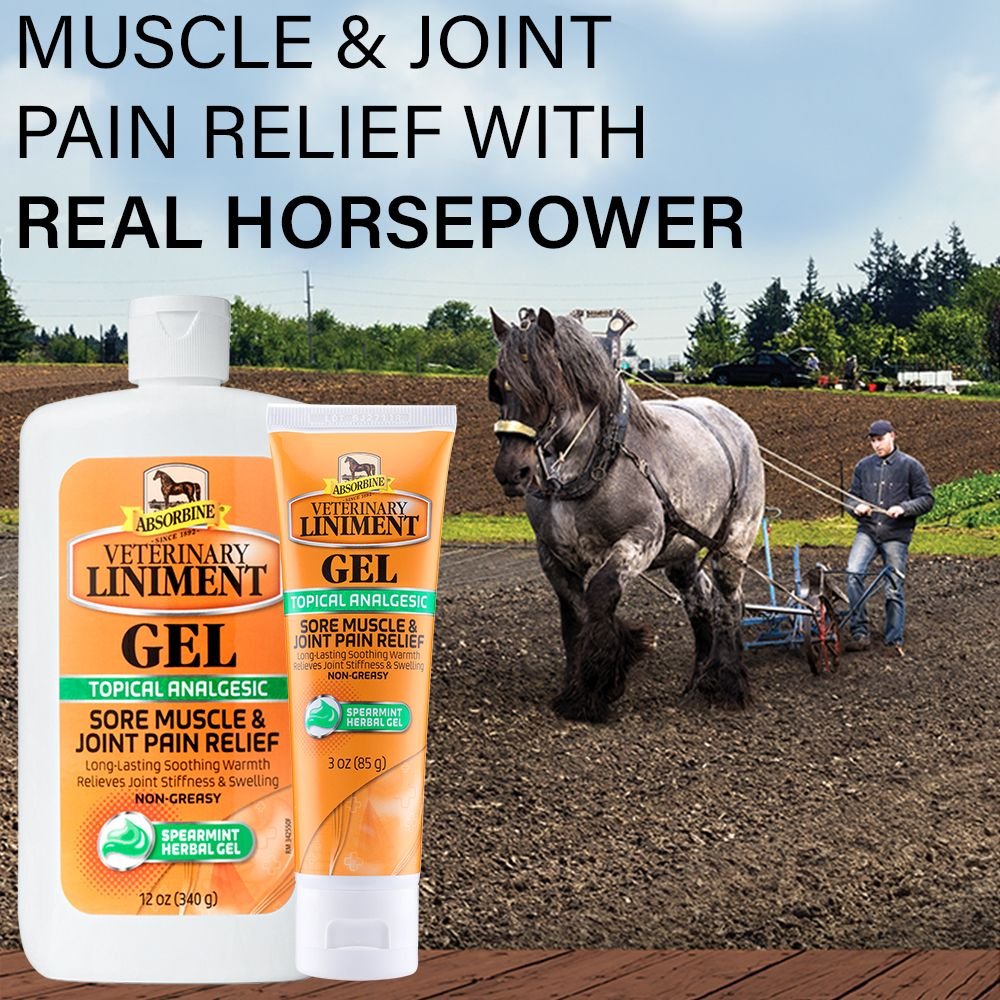 ABSORBINE Veterinary Sore Muscle & Joint Pain Relief Horse Liniment Gel