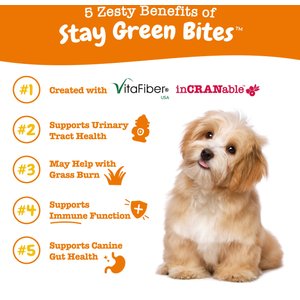Zesty Paws Stay Green Bites Chicken Flavored Soft Chews Digestive Supplement for Dogs, 90 count