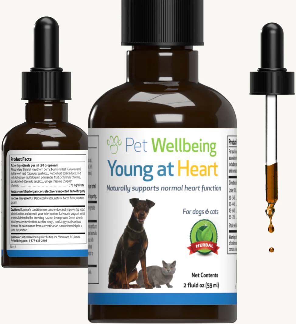 PET WELLBEING Young at Heart Bacon Flavored Liquid Heart Supplement for
