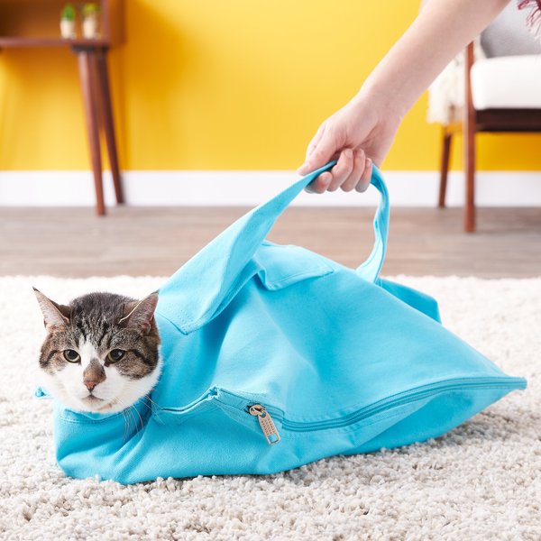 Cat-in-the-bag E-Z-Zip Cat Carrier Bag, Light Blue, Small slide 1 of 11