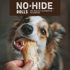 Earth Animal No-Hide Small Rolls Long Lasting Natural Rawhide Alternative Chicken Recipe Chew Dog Treats, 2 count