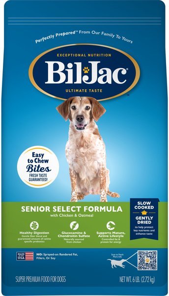 senior dog food easy to chew