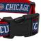 Show in main carousel: Pets First MLB Nylon Dog Collar, Chicago Cubs, Large: 14 to 24-in neck, 1-in wide slide 3 of 6