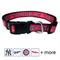 Show in main carousel: Pets First MLB Nylon Dog Collar, Boston Red Sox, Medium: 10 to 16-in neck, 5/8-in wide slide 1 of 6