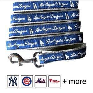 Pets First MLB Nylon Dog Leash, Los Angeles Dodgers, Medium: 4-ft long, 5/8-in wide