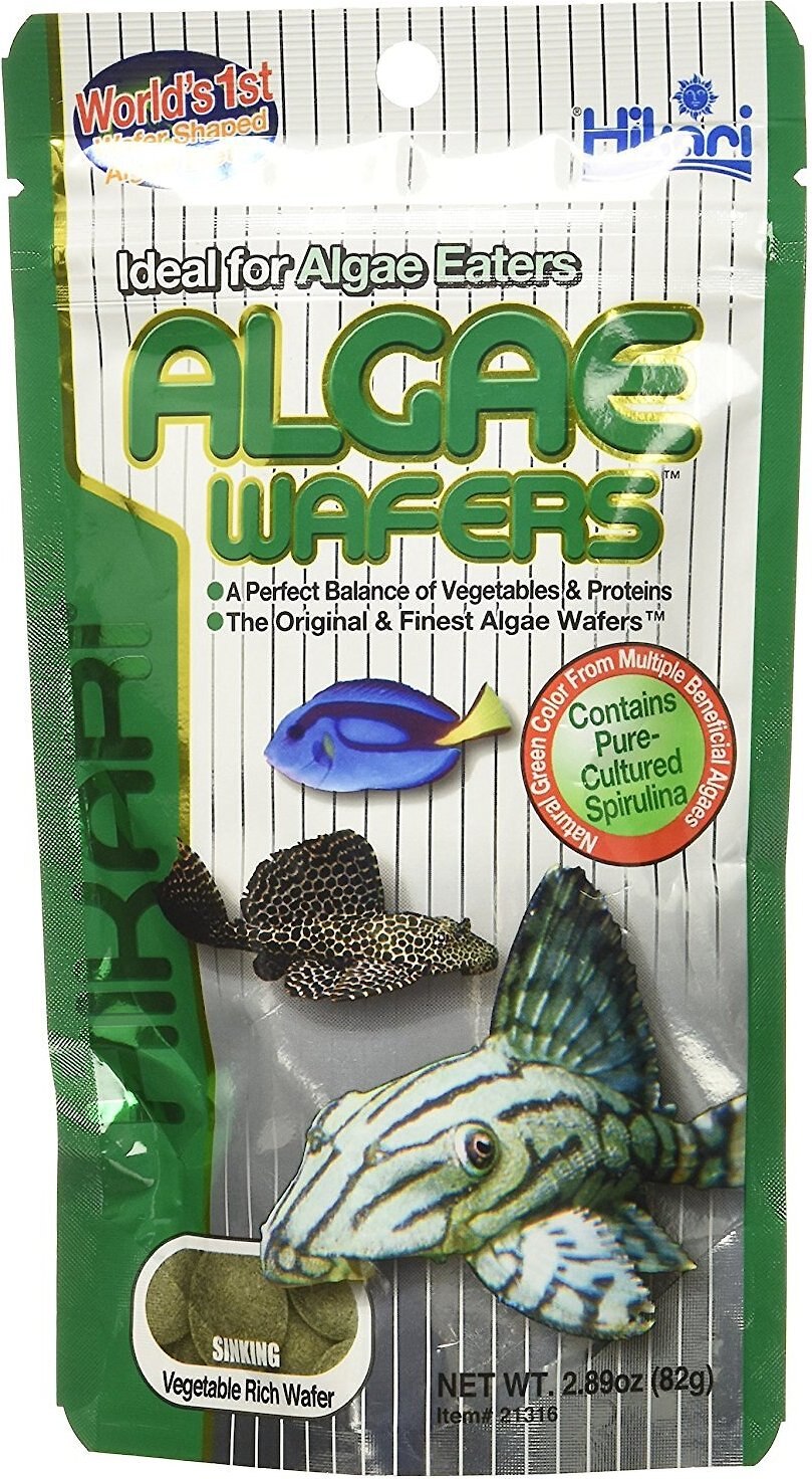 algae wafers hikari