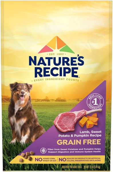 Nature's Recipe Grain-Free Lamb, Sweet Potato & Pumpkin Recipe Dry Dog Food, 12-lb bag slide 1 of 11