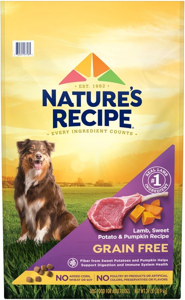 Nature's Recipe Grain-Free Lamb, Sweet Potato & Pumpkin Recipe Dry Dog Food, 24-lb bag slide 1 of 11