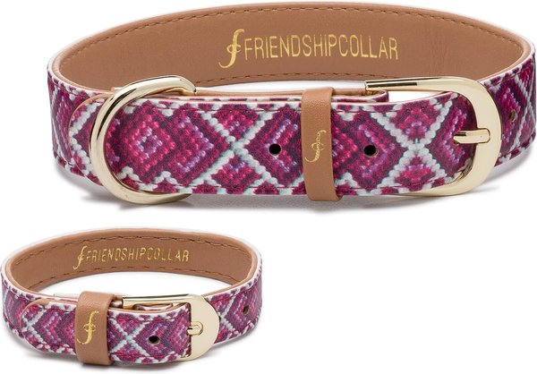 FriendshipCollar Pedigree Princess Leather Dog Collar with Friendship Bracelet, X-Small: 11 to 14-in neck, 3/4-in wide slide 1 of 9