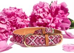 FriendshipCollar Pedigree Princess Leather Dog Collar with Friendship Bracelet, Medium: 15 to 18-in neck, 1-in wide slide 1 of 9