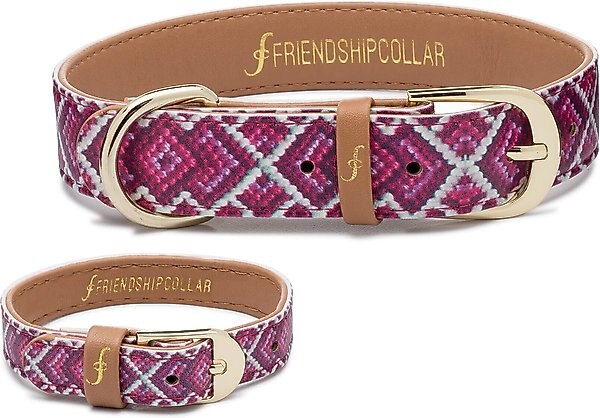 FriendshipCollar Pedigree Princess Leather Dog Collar with Friendship Bracelet, X-Large: 19 to 22-in neck, 1-in wide slide 1 of 9