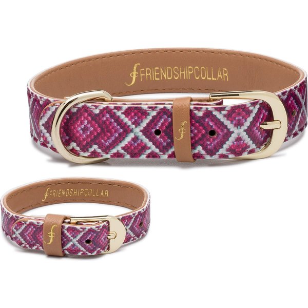 Puppy Love - Leash – FriendshipCollar