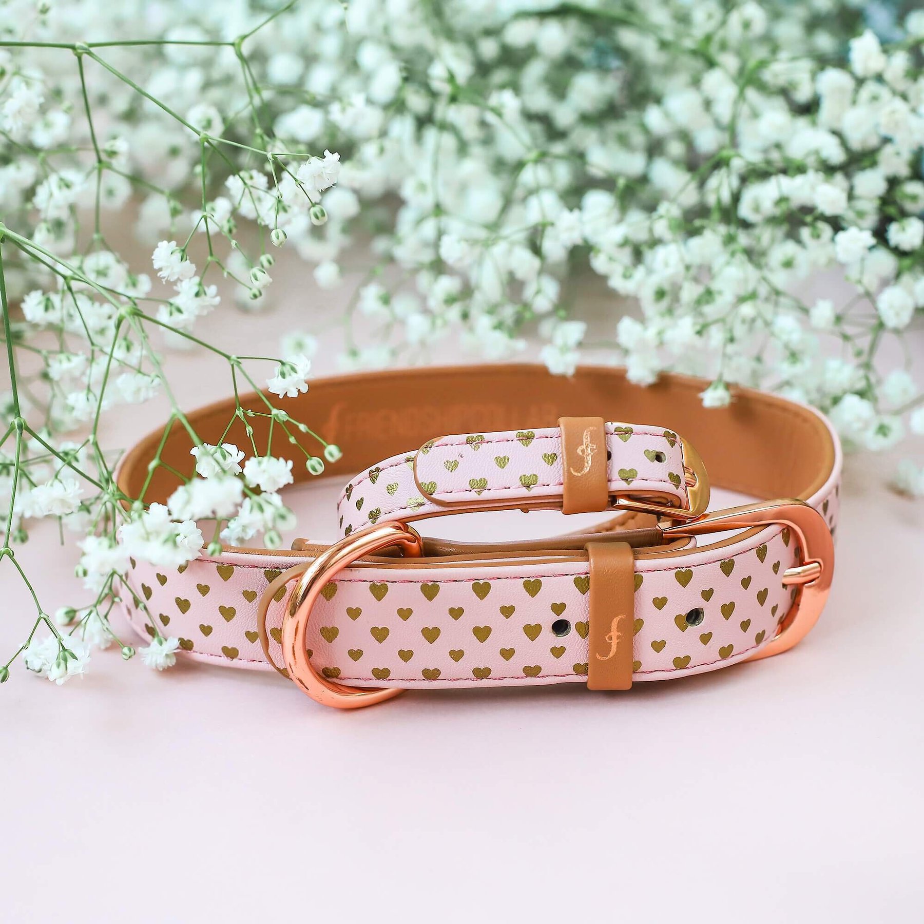 FriendshipCollar Puppy Love Leather Dog Collar with Friendship Bracelet