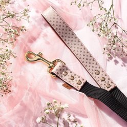 FriendshipCollar Puppy Love Leather Dog Leash, 5-ft long, 1-in wide