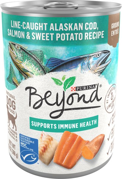 Purina Beyond Alaskan Cod, Salmon & Sweet Potato Grain-Free Canned Dog Food, 13-oz, case of 12 slide 1 of 10