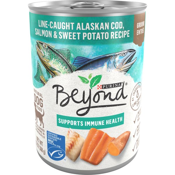 Purina Beyond Salmon & Sweet Potato Recipe Ground Entrée Grain-Free Canned Dog Food
