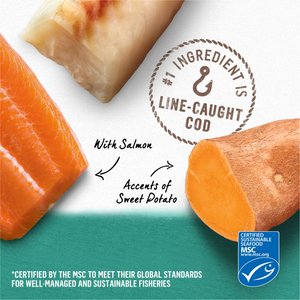 Purina Beyond Alaskan Cod, Salmon & Sweet Potato Grain-Free Canned Dog Food, 13-oz, case of 12