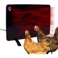 Cozy Products Flat Panel Chicken Coop Heater