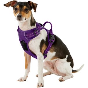 Chai's Choice Premium Outdoor Adventure 3M Polyester Reflective Front Clip Dog Harness, Purple, Small: 17 to 22-in chest