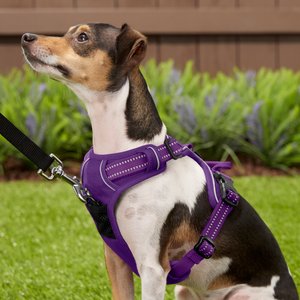 Chai's Choice Premium Outdoor Adventure 3M Polyester Reflective Front Clip Dog Harness, Purple, Small: 17 to 22-in chest