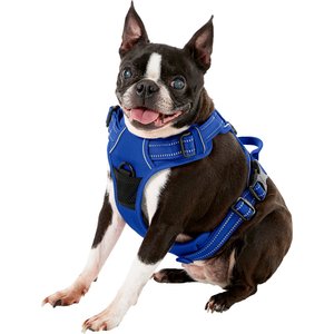 Chai's Choice Premium Outdoor Adventure 3M Polyester Reflective Front Clip Dog Harness, Royal Blue, Medium: 22 to 27-in chest