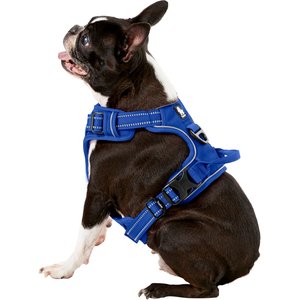 Chai's Choice Premium Outdoor Adventure 3M Polyester Reflective Front Clip Dog Harness, Royal Blue, Medium: 22 to 27-in chest