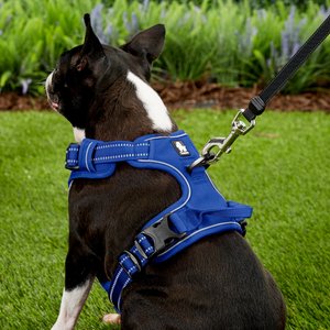 Chai's Choice Premium Outdoor Adventure 3M Polyester Reflective Front Clip Dog Harness, Royal Blue, Medium: 22 to 27-in chest