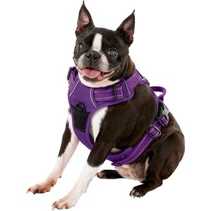 10 Best Front Clip Dog Harnesses 2024: According to Reviews