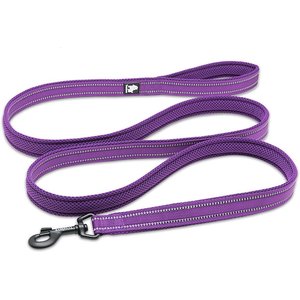 Chai's Choice Premium Outdoor Adventure Padded 3M Polyester Reflective Dog Leash, Purple, 6.5-ft long, 1-in wide