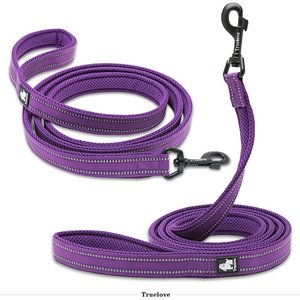 Chai's Choice Premium Outdoor Adventure Padded 3M Polyester Reflective Dog Leash, Purple, 6.5-ft long, 1-in wide