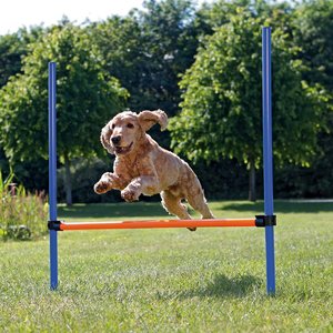 TRIXIE Agility Dog Training Hurdle