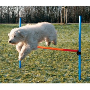 TRIXIE Agility Dog Training Hurdle