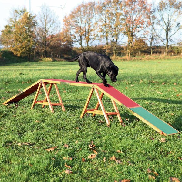 Chew King Novice Dog Park Agility Course Kit