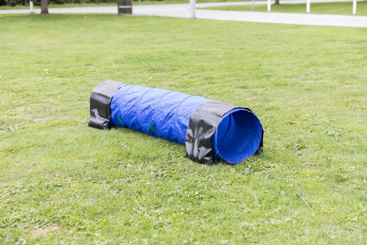 TRIXIE Agility Dog Training Tunnel, 6.5ft