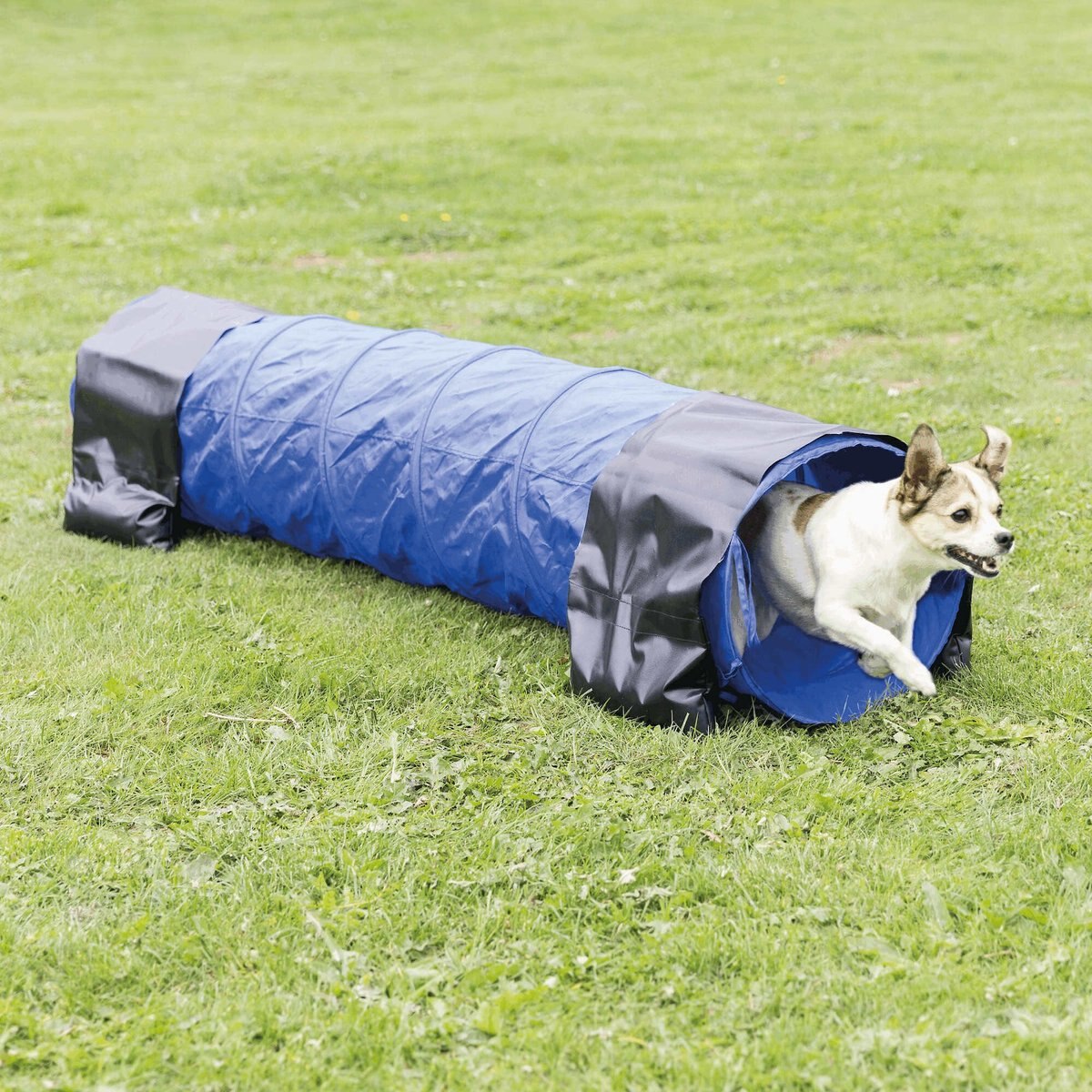 TRIXIE Agility Dog Training Tunnel, 6.5ft