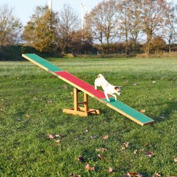 TRIXIE Agility Dog Training Seesaw slide 1 of 2