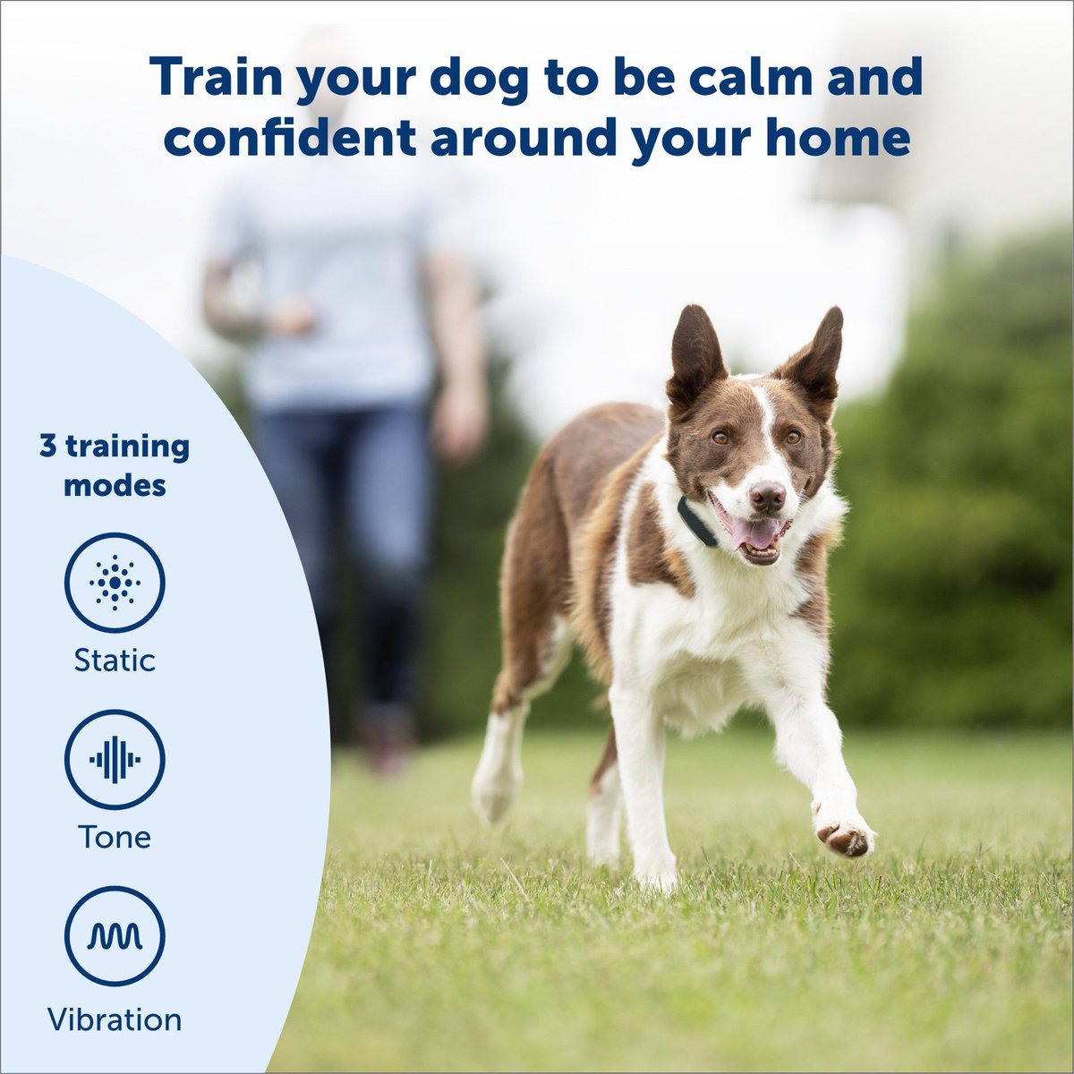 PETSAFE Remote Trainer Dog Collar, 100yd, Standard