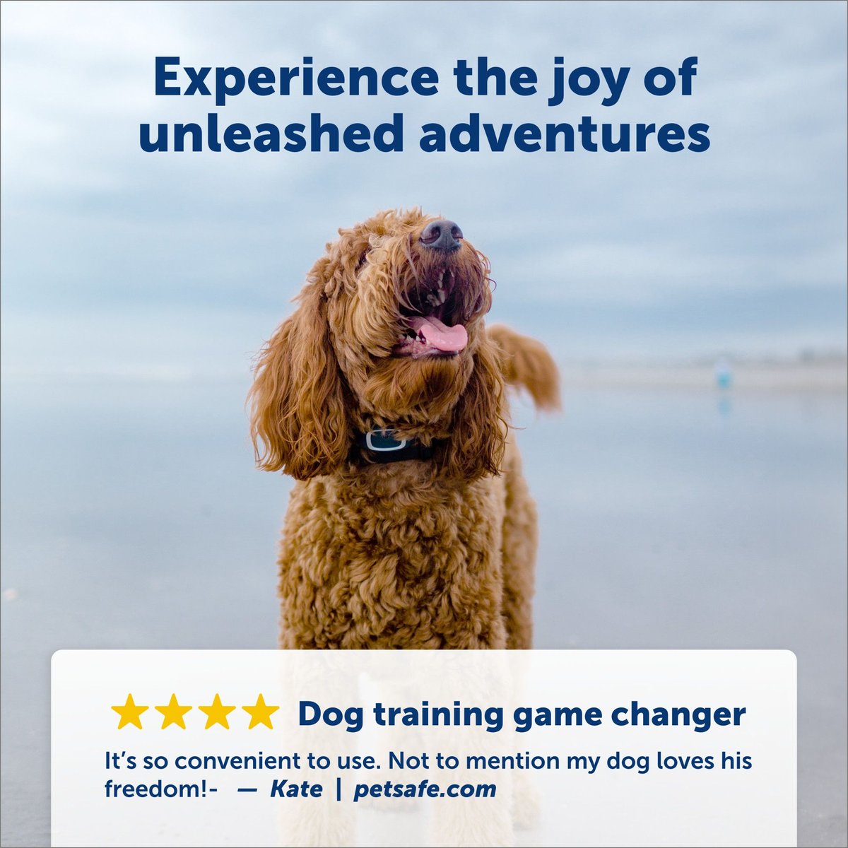 PETSAFE Remote Trainer Dog Collar, 100yd, Standard