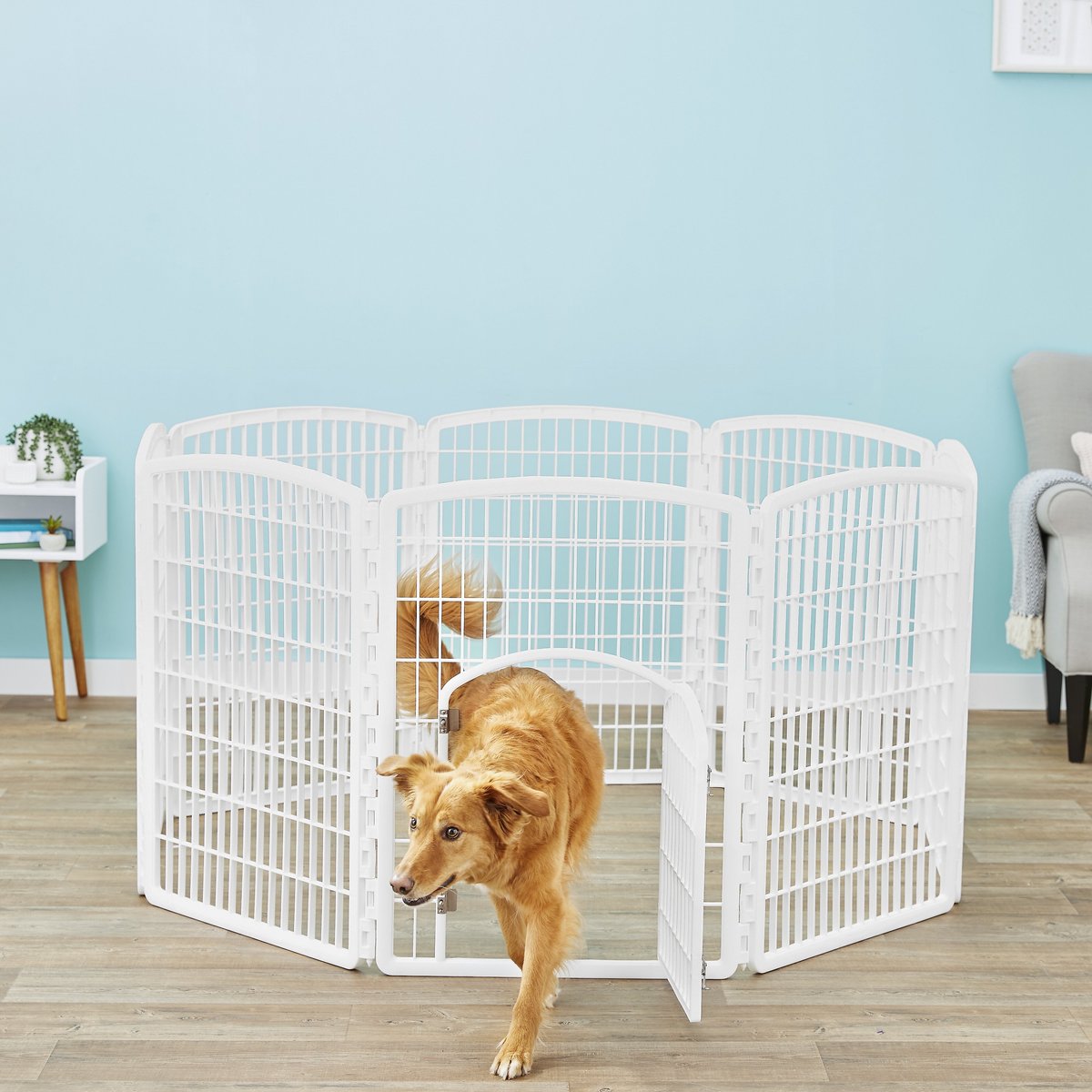 FRISCO 8Panel Plastic Dog Exercise Pen, White