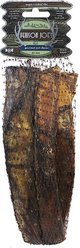 Venison Joe's Hickory Maple Smoked 10" Beef Rib Dog Treat, 3 count