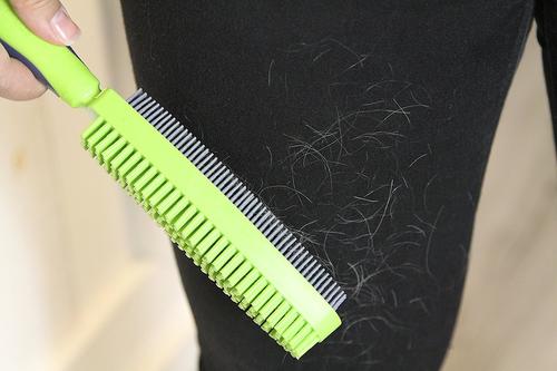 Show full view: FURemover Duo Dual-Sided Grooming & Hair Removal Dog & Cat Brush, Color Varies slide 7 of 9