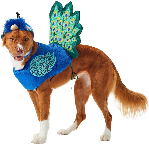 Discontinued - CALIFORNIA COSTUMES Peacock Dog & Cat Costume, Medium ...